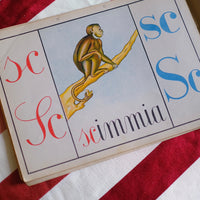 Illustrazione abbecedario