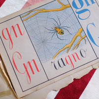 Illustrazione abbecedario