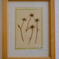 Quadro vintage
