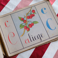 Illustrazione abbecedario