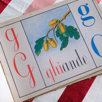 Illustrazione abbecedario