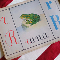 Illustrazione abbecedario