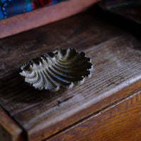Posacenere conchiglia