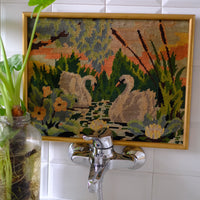 Quadro Cigni