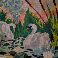 Quadro Cigni