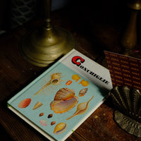 Libro conchiglie