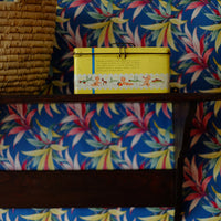 Scatola vintage Plasmon