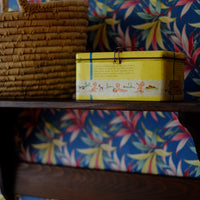 Scatola vintage Plasmon