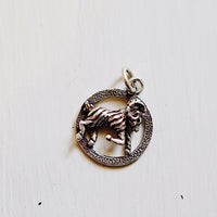 Collana con medaglietta vintage segno zodiacale