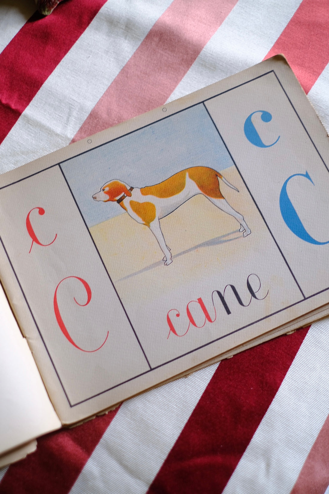 Illustrazione abbecedario