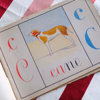 Illustrazione abbecedario