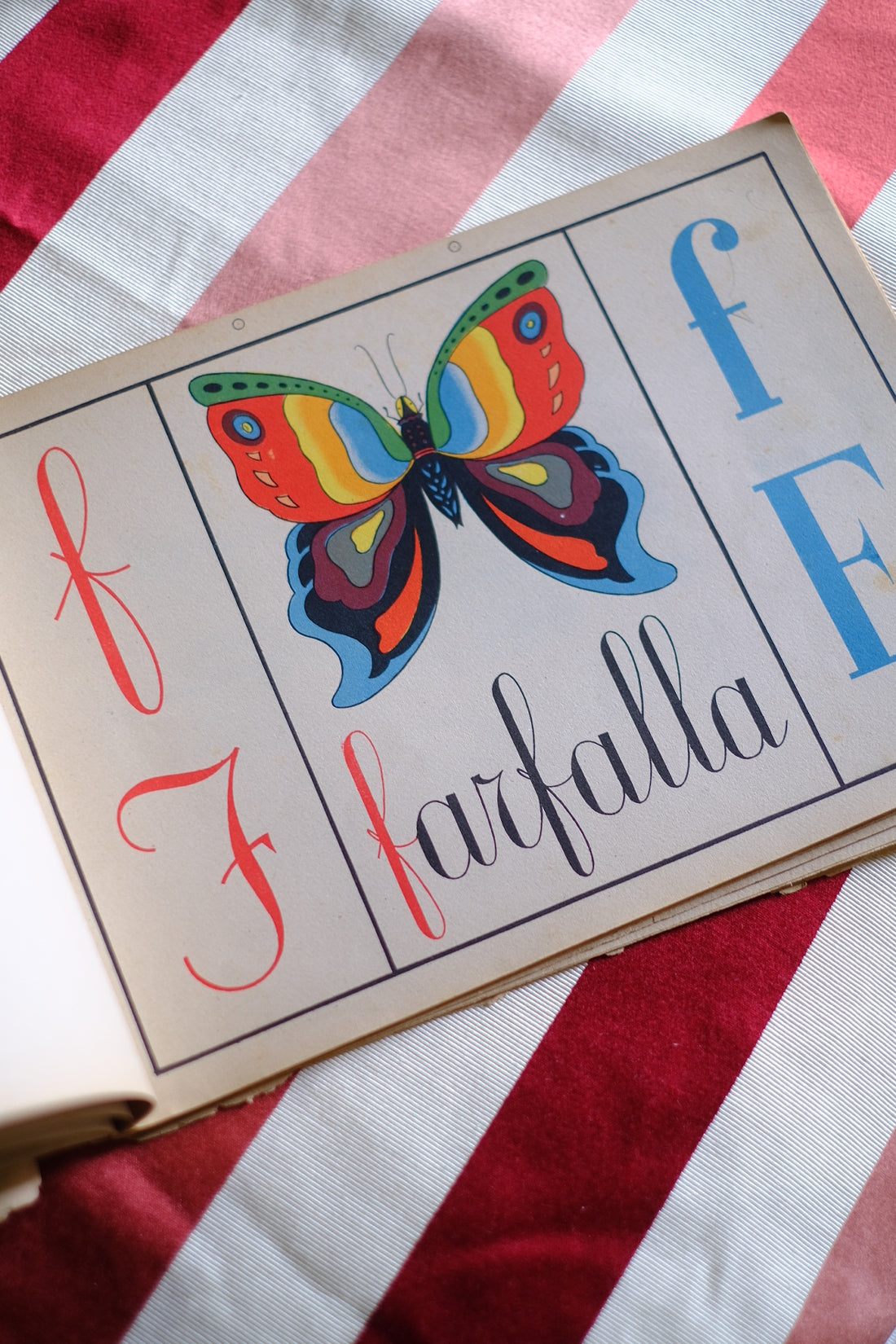 Illustrazione abbecedario