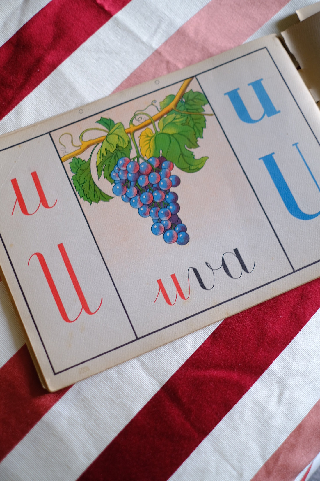 Illustrazione abbecedario