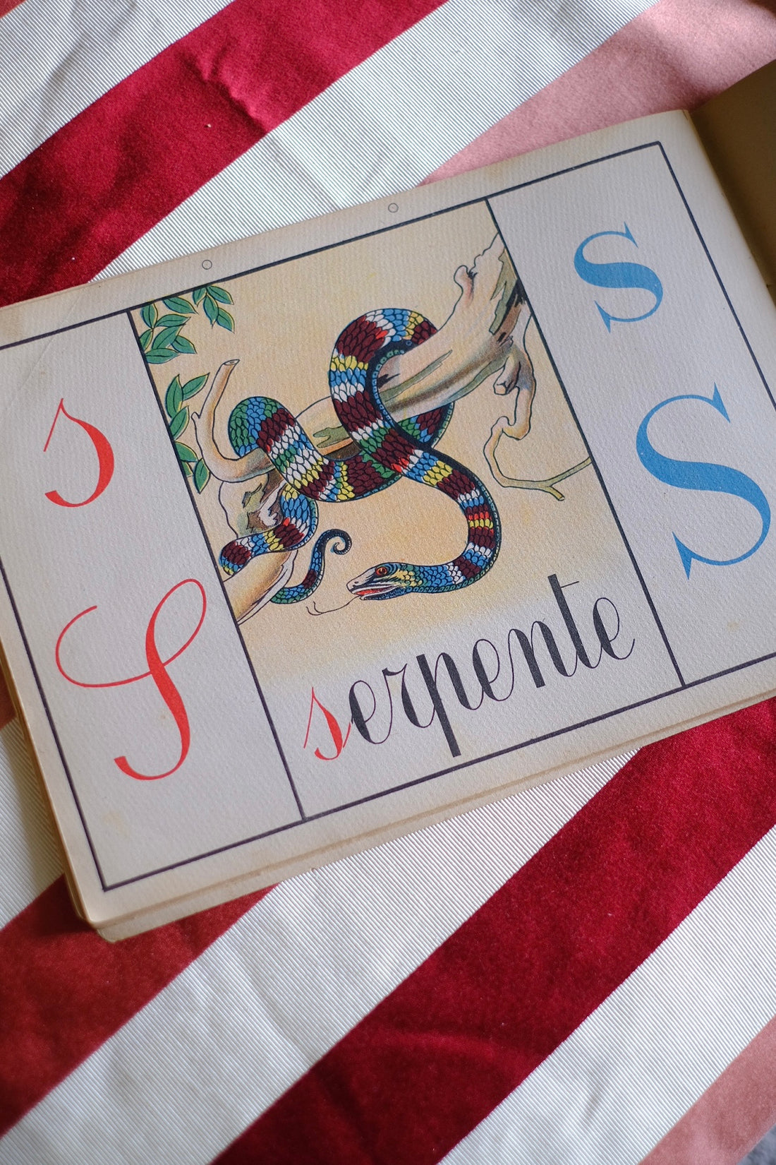 Illustrazione abbecedario