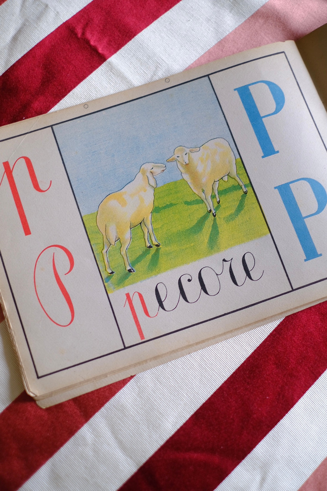 Illustrazione abbecedario