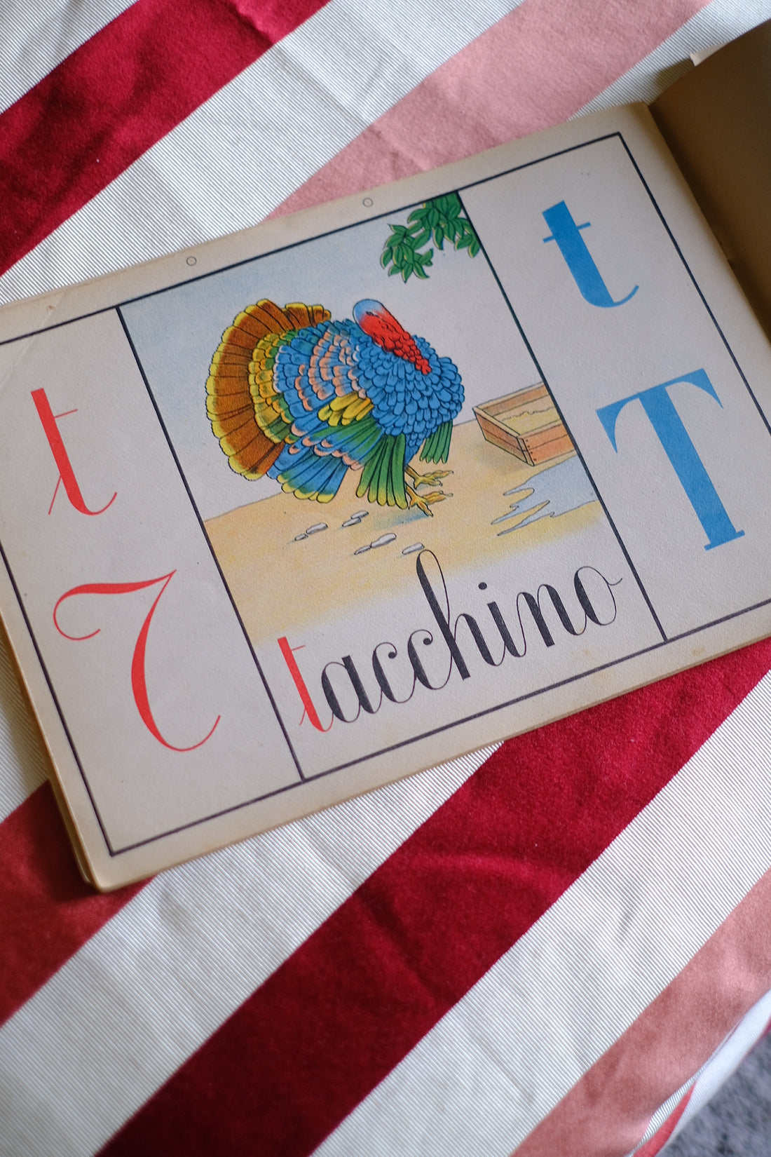 Illustrazione abbecedario