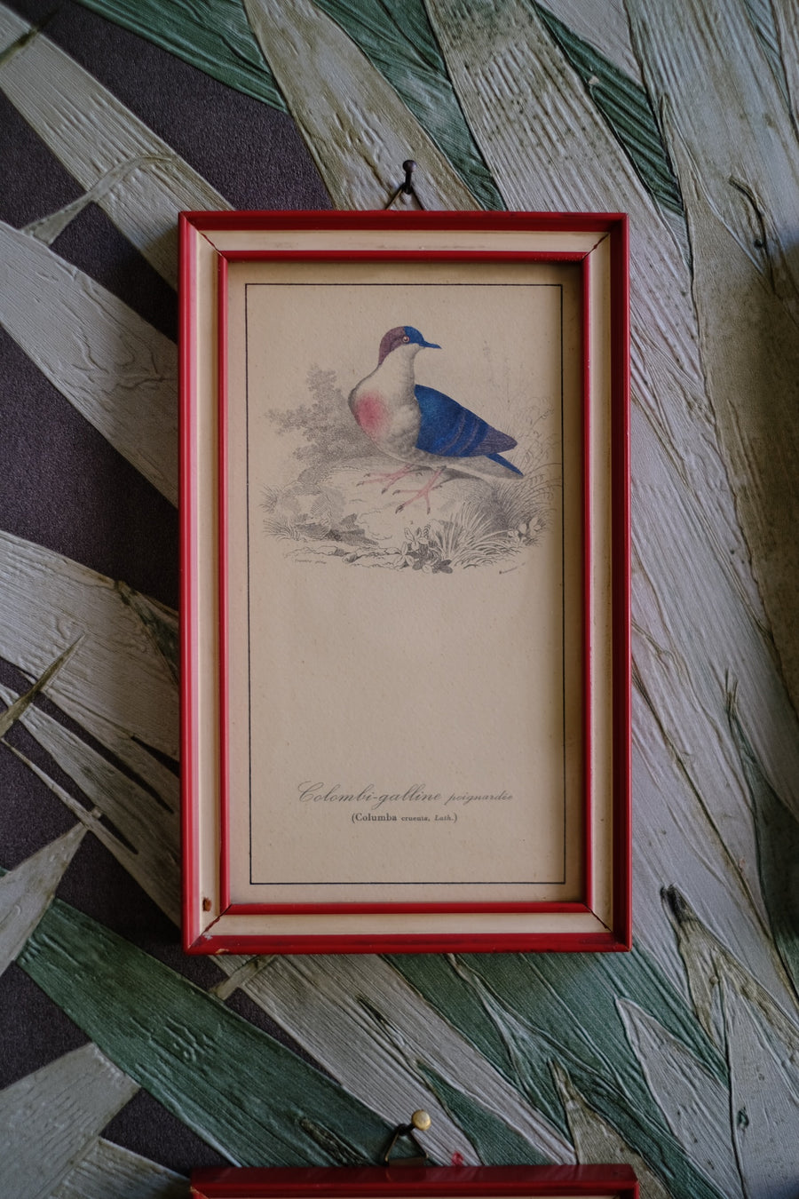 Quadri uccelli