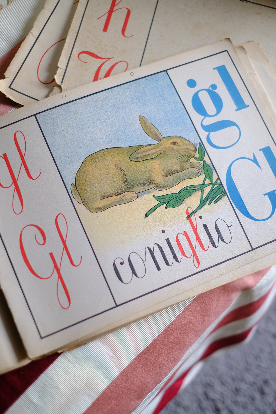 Illustrazione abbecedario