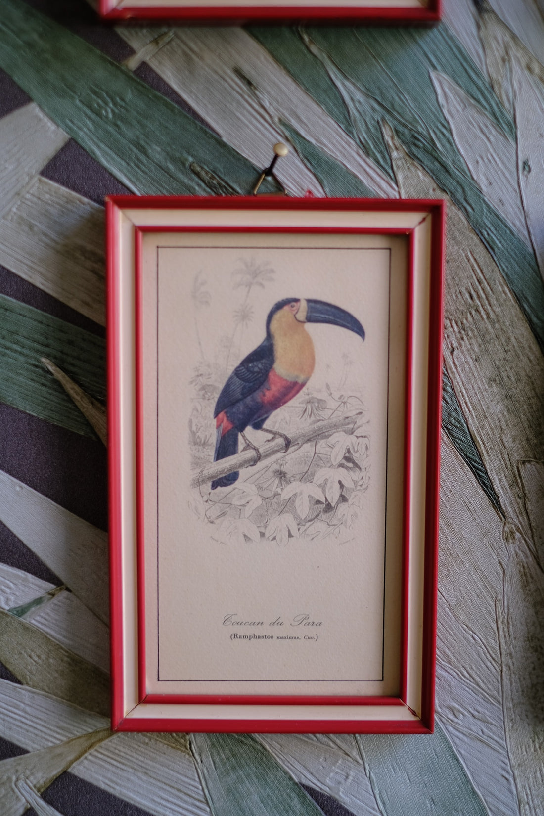 Quadri uccelli