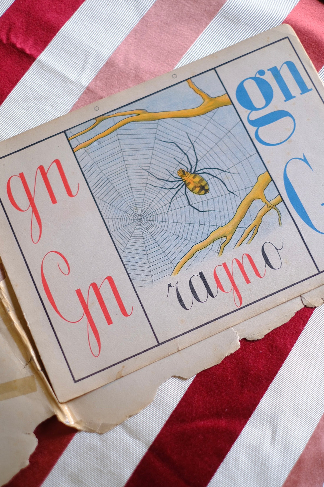 Illustrazione abbecedario