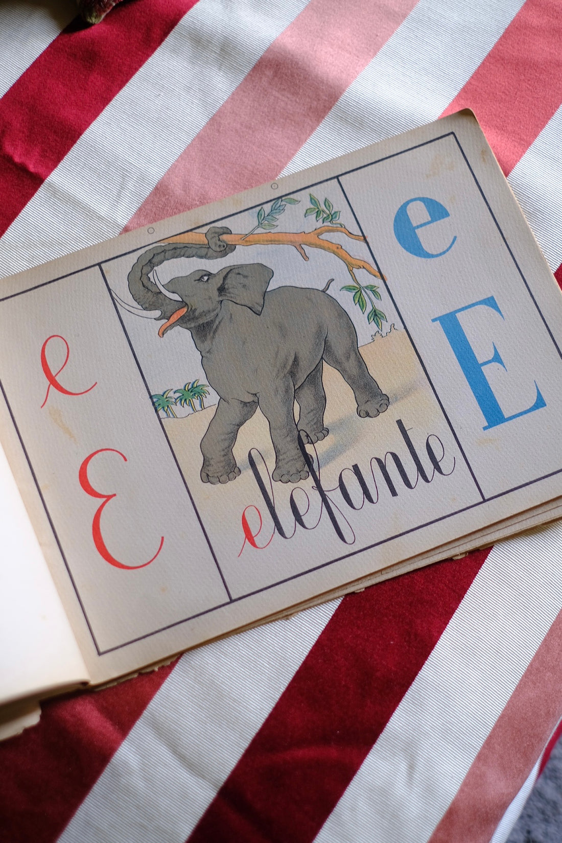 Illustrazione abbecedario