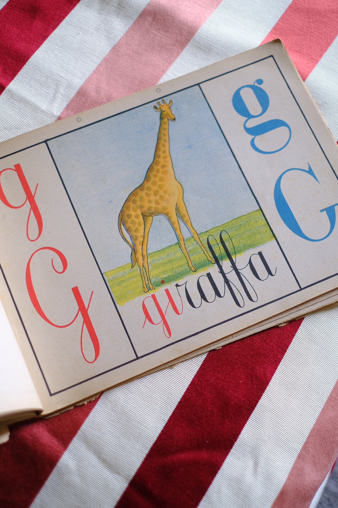 Illustrazione abbecedario