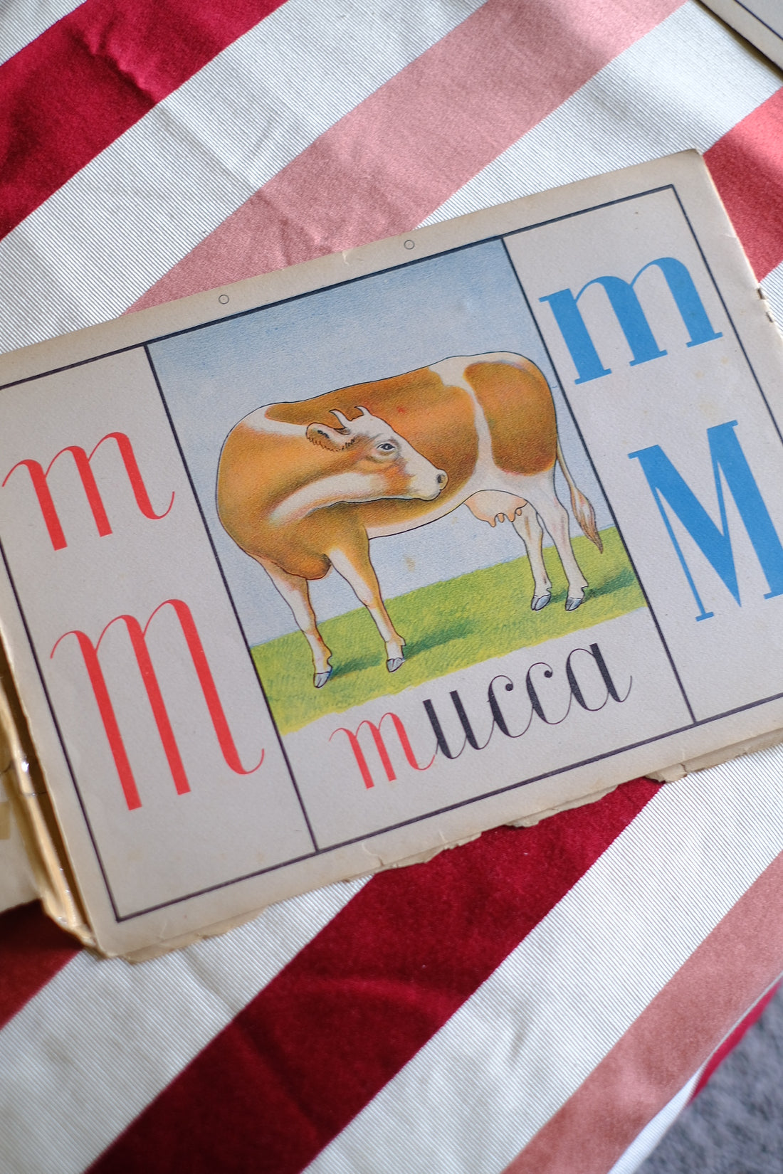 Illustrazione abbecedario