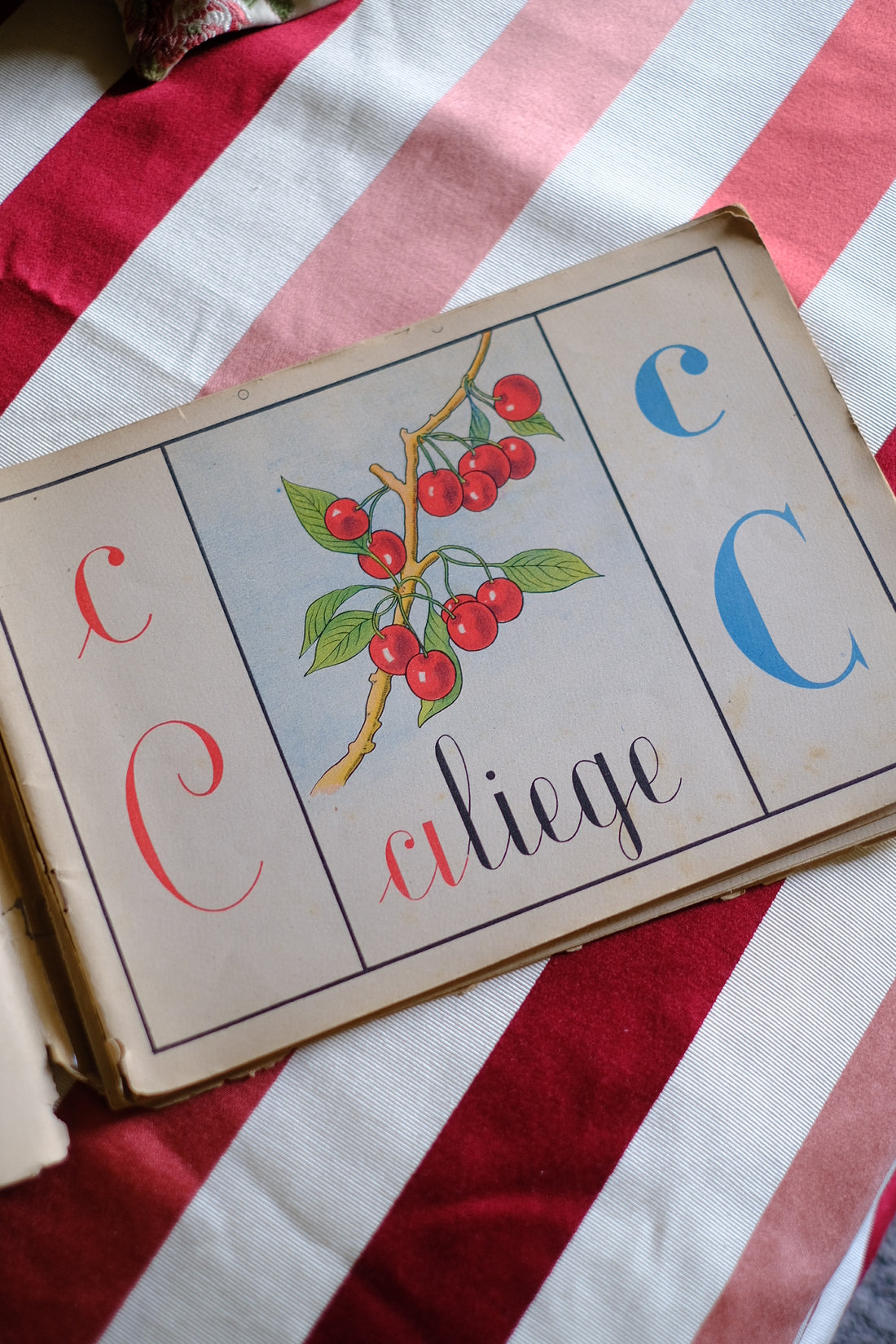 Illustrazione abbecedario