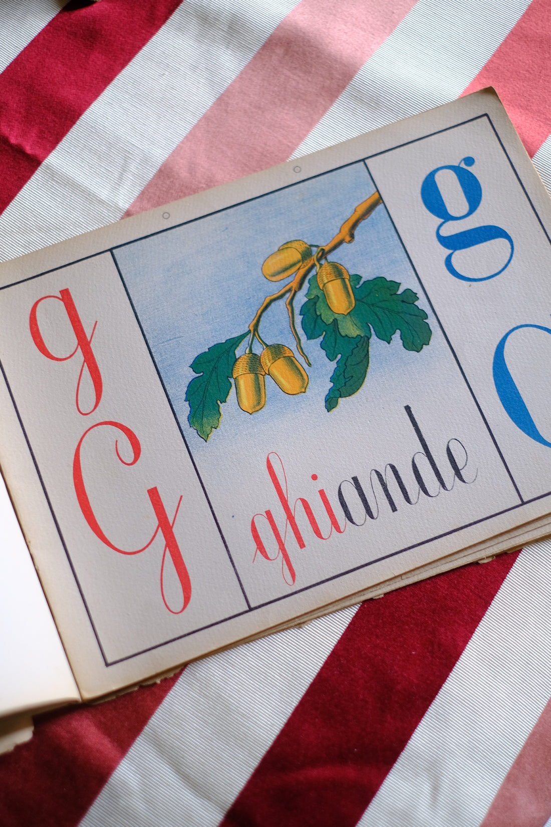 Illustrazione abbecedario