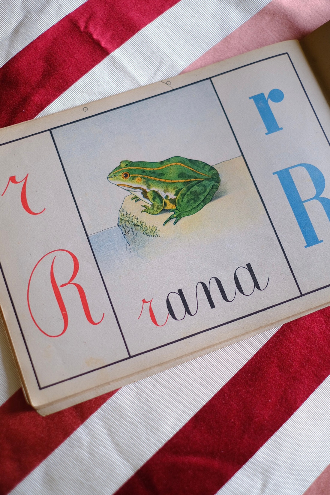 Illustrazione abbecedario