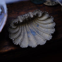 Posacenere conchiglia