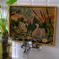 Quadro Cigni