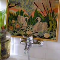 Quadro Cigni