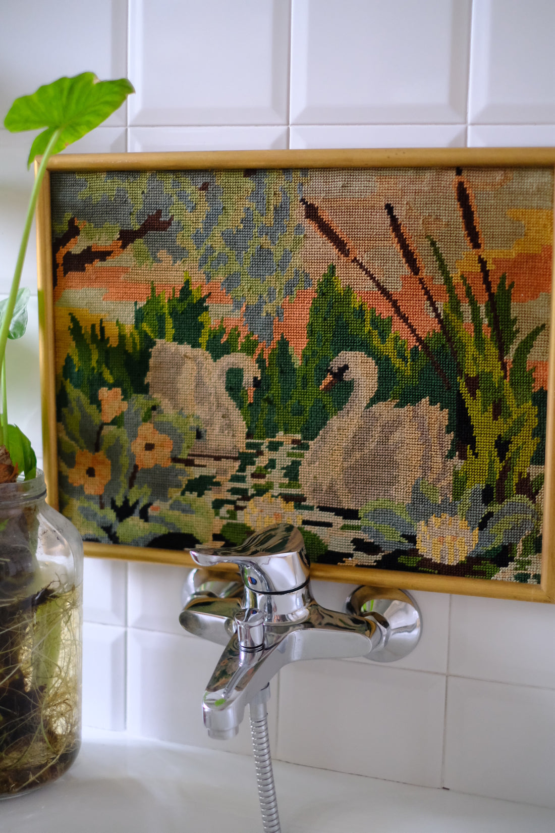 Quadro Cigni