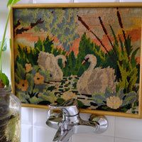 Quadro Cigni