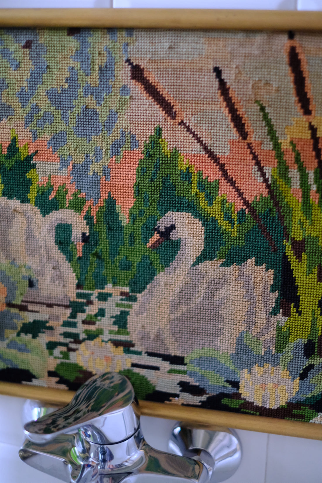 Quadro Cigni
