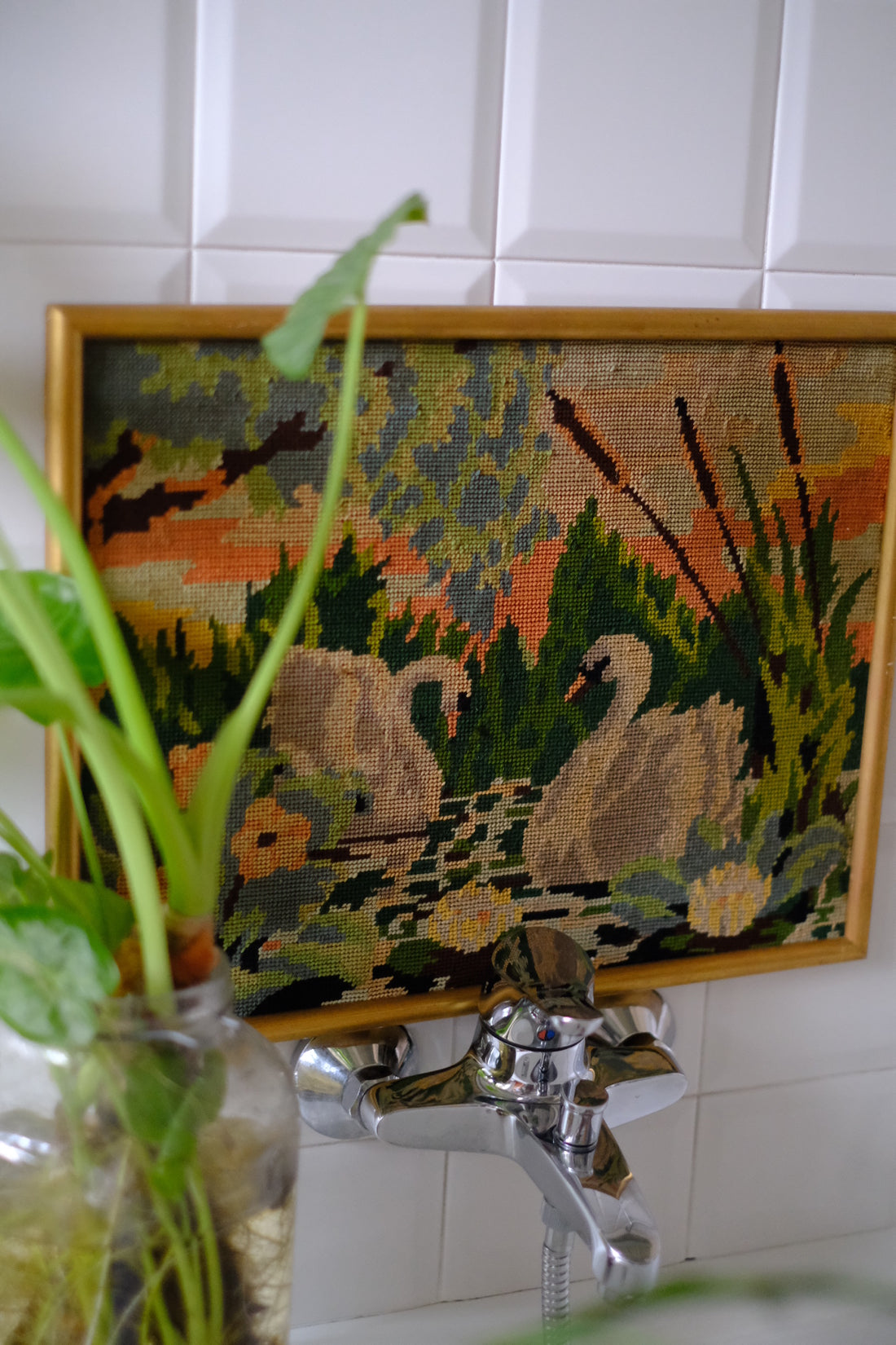 Quadro Cigni