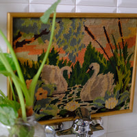 Quadro Cigni