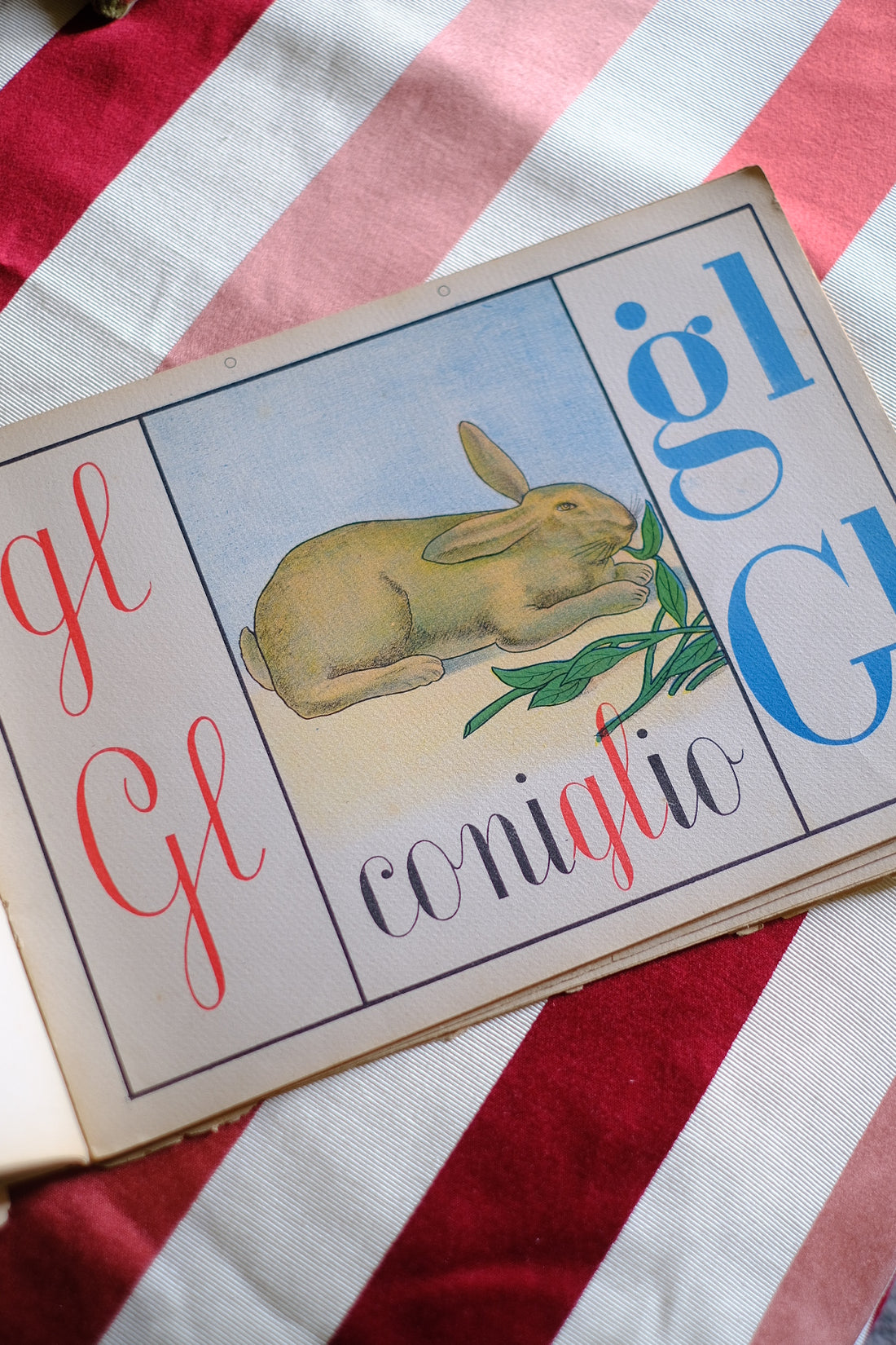 Illustrazione abbecedario