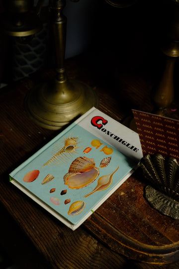 Libro conchiglie